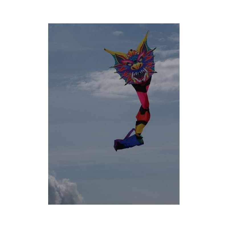 - Aquilone singolo per bambini a partire dai 3 anni CIM Aquilone incl pronto per il volo 58 x 40 cm 2 pezzi blu/rosa cavo per drago da 20 m Set di draghi a forma di farfalla